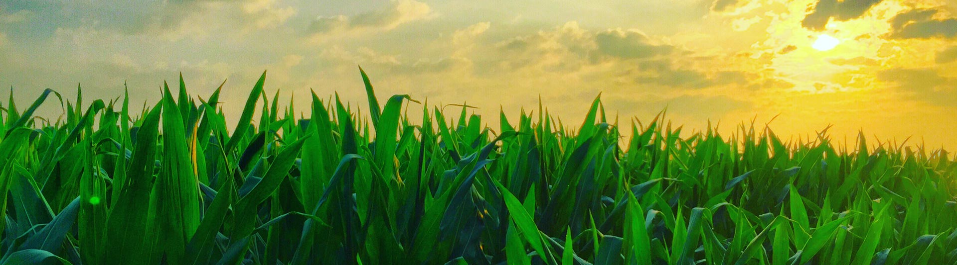 Nebraska Agricultural Helicopter Services